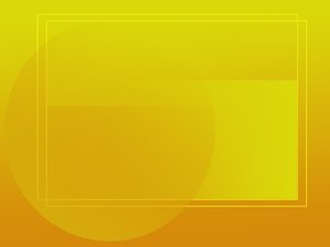 支付结算
